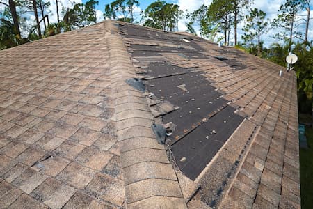 Storm Damage Thumbnail